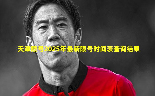 天津限号2025年最新限号时间表查询结果