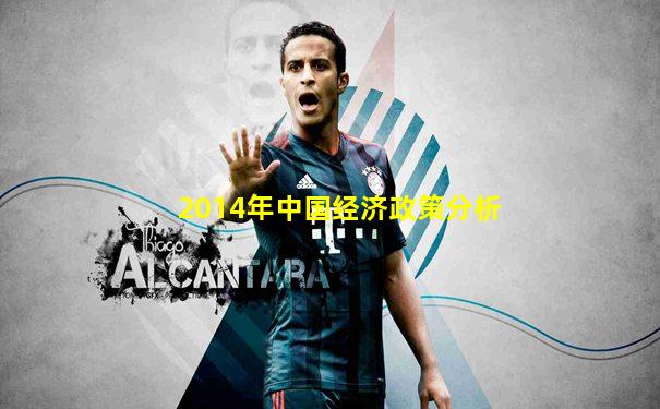 2014年中国经济政策分析