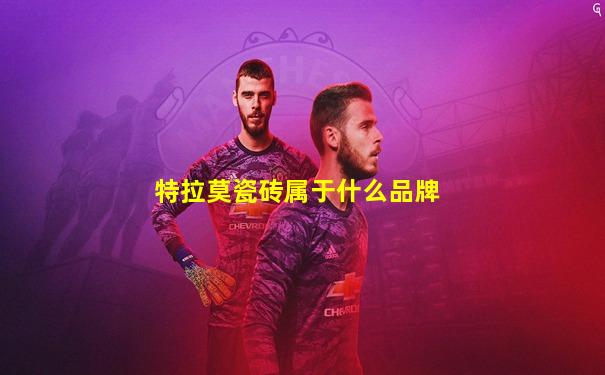 特拉莫瓷砖属于什么品牌