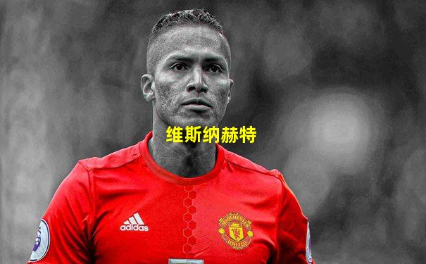 维斯纳赫特