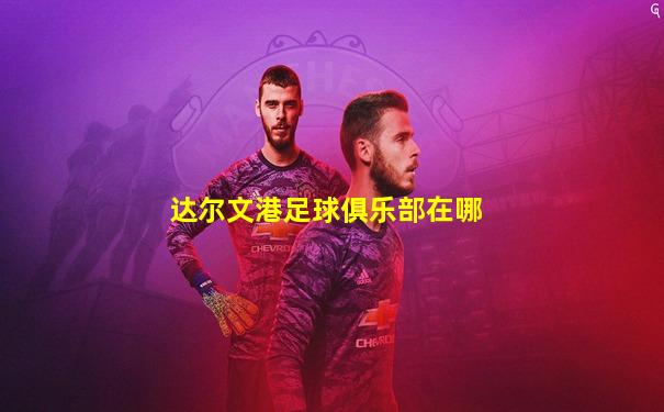 达尔文港足球俱乐部在哪
